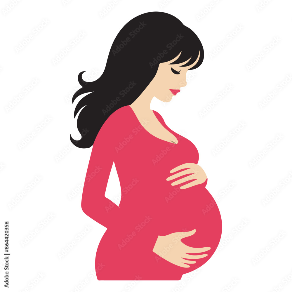 Pregnant woman holds her belly. The concept of pregnancy and motherhood. Healthy pregnancy. Vector illustration. Pregnant woman holds her belly. The concept of pregnancy and motherhood. Healthy pregnancy. Vector illustration.