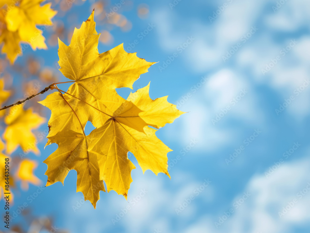 Obraz premium A leafy tree branch with a yellow leaf in the foreground