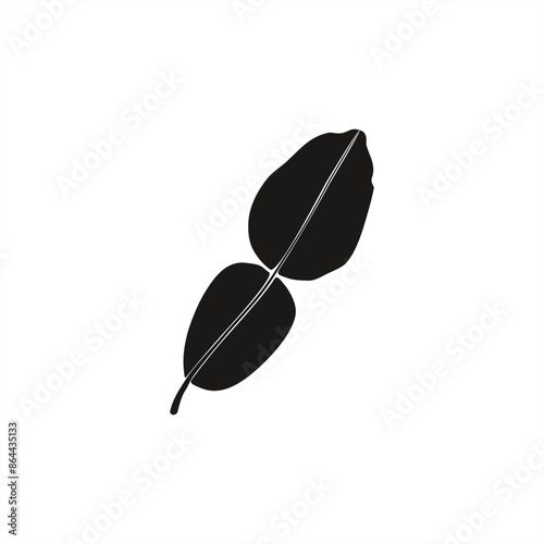 minimalist silhouette illustration of kaffir lime leaves for icon or logo