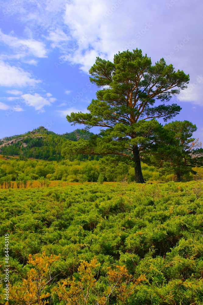 Beautiful landscapes from Kazakhstan. Photo Beautiful landscapes from Kazakhstan. Photo