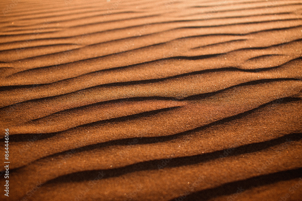 Desert background: Sand dunes in the rays of sunset light Desert background: Sand dunes in the rays of sunset light