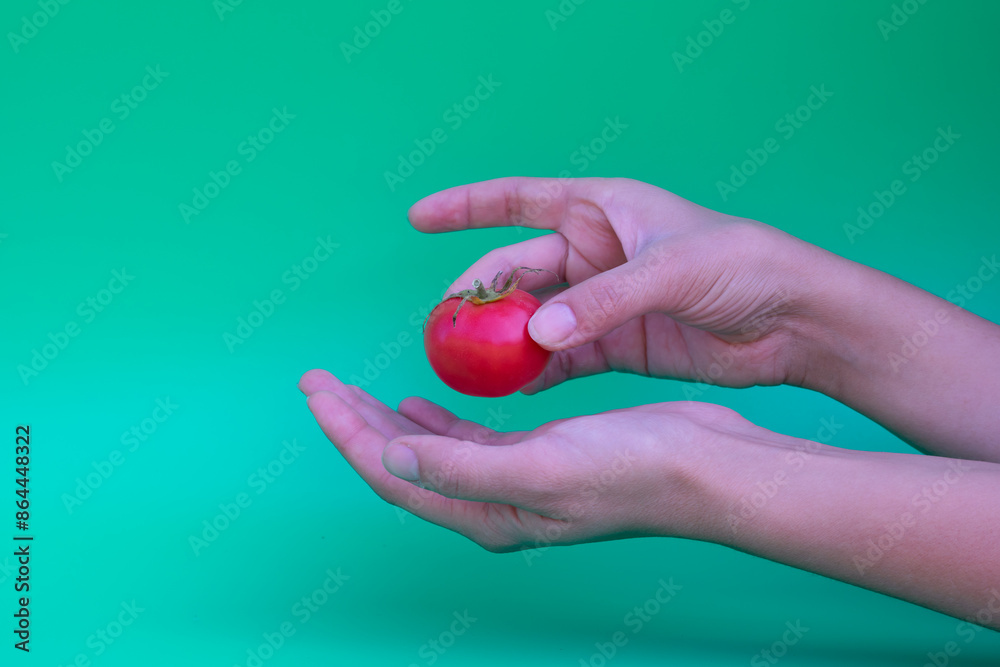 Young female hands hold red ripe tomato cherry as metaphor and concept of buying vegetables in supermarket and delivery.Healthy lifestyle. Young female hands hold red ripe tomato cherry as metaphor and concept of buying vegetables in supermarket and delivery.Healthy lifestyle.