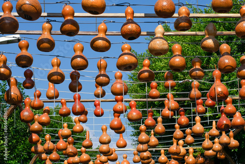 Street decoration with orange dried lagenaria siceraria bottled squash long winter melon on blue sky and bright sunlight.
