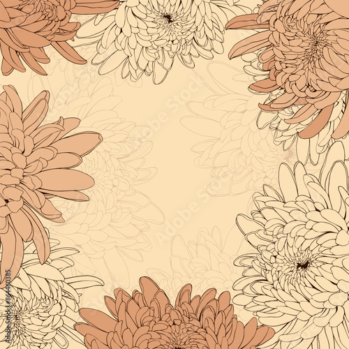 Wallpaper Mural Chrysanthemum flower square frame. Hand drawn illustration. Torontodigital.ca