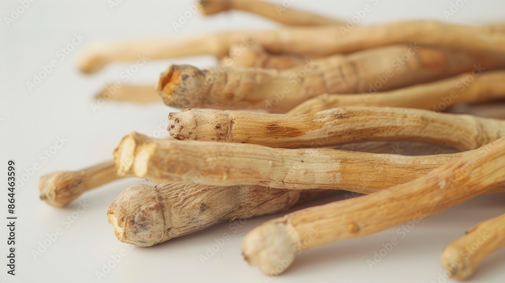 Close up view of Ashwagandha or Withania somnifera fruits on a white background Close up view of Ashwagandha or Withania somnifera fruits on a white background