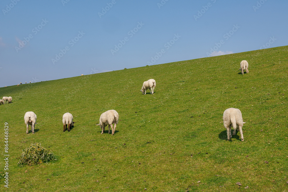Das Wangerland an der deutschen Nordseeküste Das Wangerland an der deutschen Nordseeküste