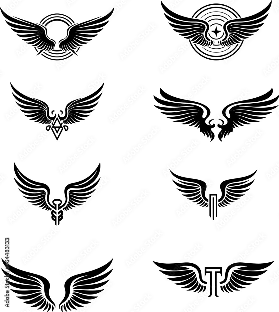 Fototapeta premium Wings Illustration (9)