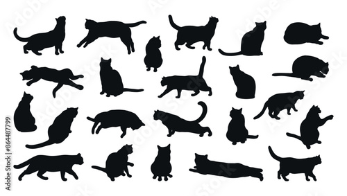 Collection of cat silhouettes isolated on white background. Different cat poses. Cat is lying, sitting, playing, walking, standing, stretching.  Vector illustration