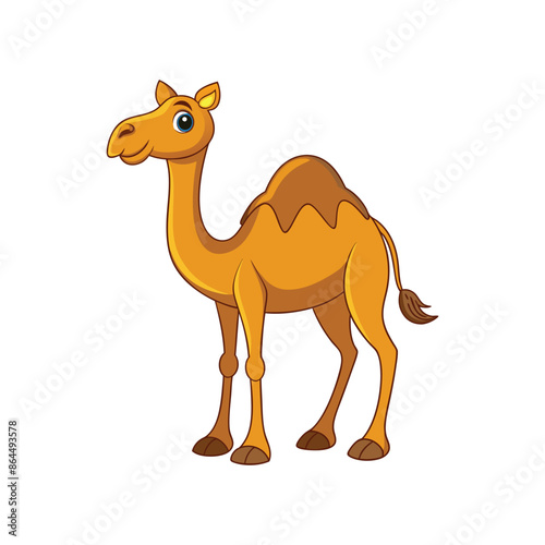 Cartoon camel vector isolated