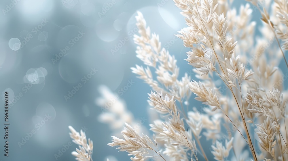 A tight shot of assorted flowers against a blue-and-white backdrop, with a softly blurred sky above A tight shot of assorted flowers against a blue-and-white backdrop, with a softly blurred sky above
