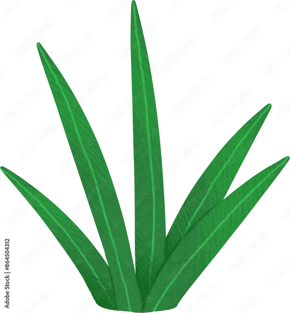 Obraz premium Green tropical plant bushes. Hand drawn illustration 