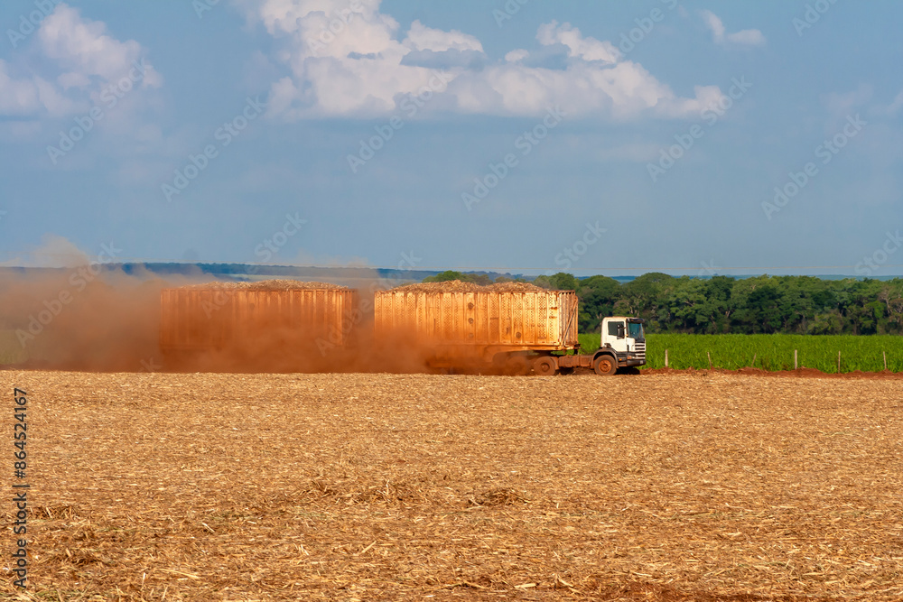 A train loaded with sugar cane harvested in the field travels along one of the rural roads to the plant on a farm in Brazil A train loaded with sugar cane harvested in the field travels along one of the rural roads to the plant on a farm in Brazil
