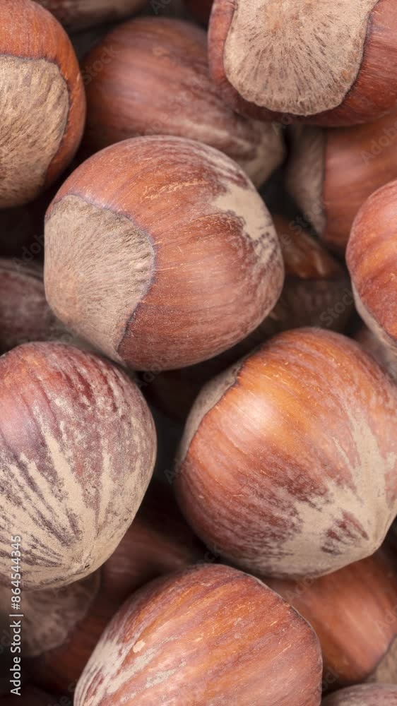 Top view, closeup of hazelnuts. Nuts backdrop Top view, closeup of hazelnuts. Nuts backdrop