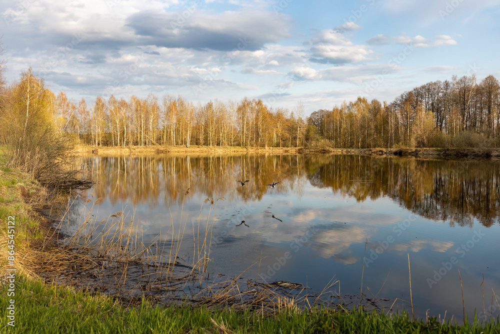 A lake with trees in the background A lake with trees in the background