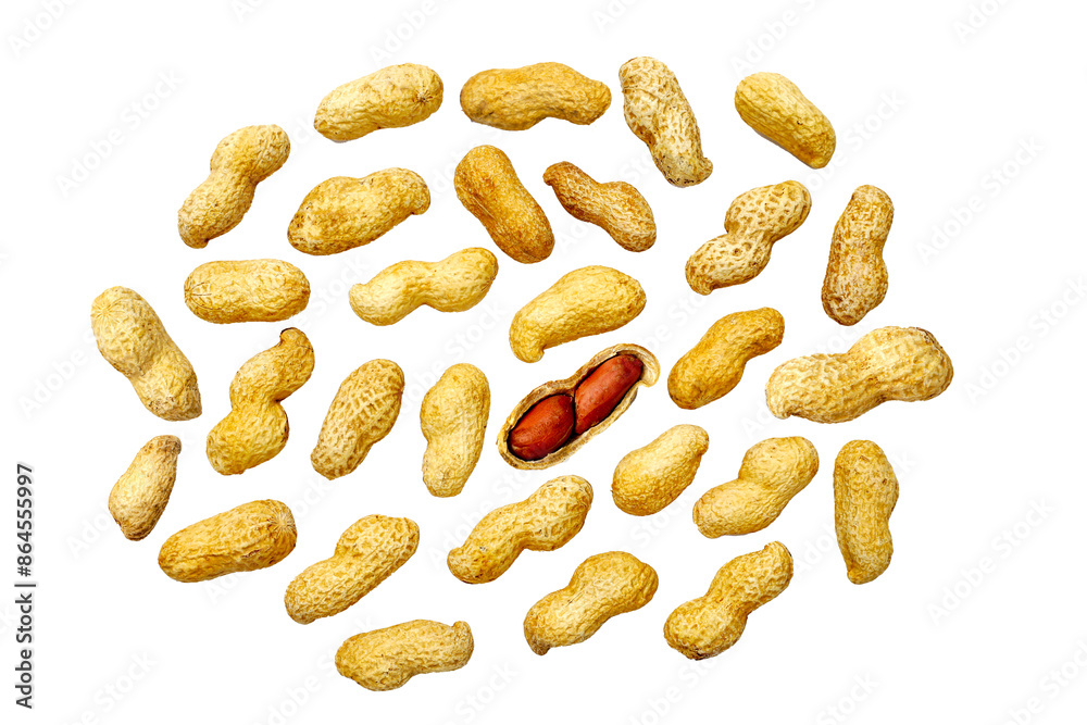 Roasted peanuts in shell on white background. Roasted peanuts in shell on white background.