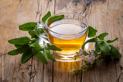 Cup of aromatic sage tea and fresh leaves