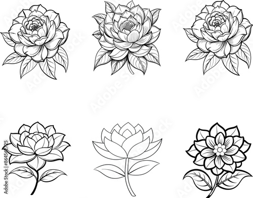 A coloring book page Blooming roses 