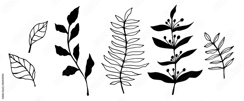 Fototapeta premium vector contour branch and leaves. Elegant branches. black silhouette and outline element with white background, editable. hand drawn monochrome botanical illustration, wedding cards, logo, tattoo.