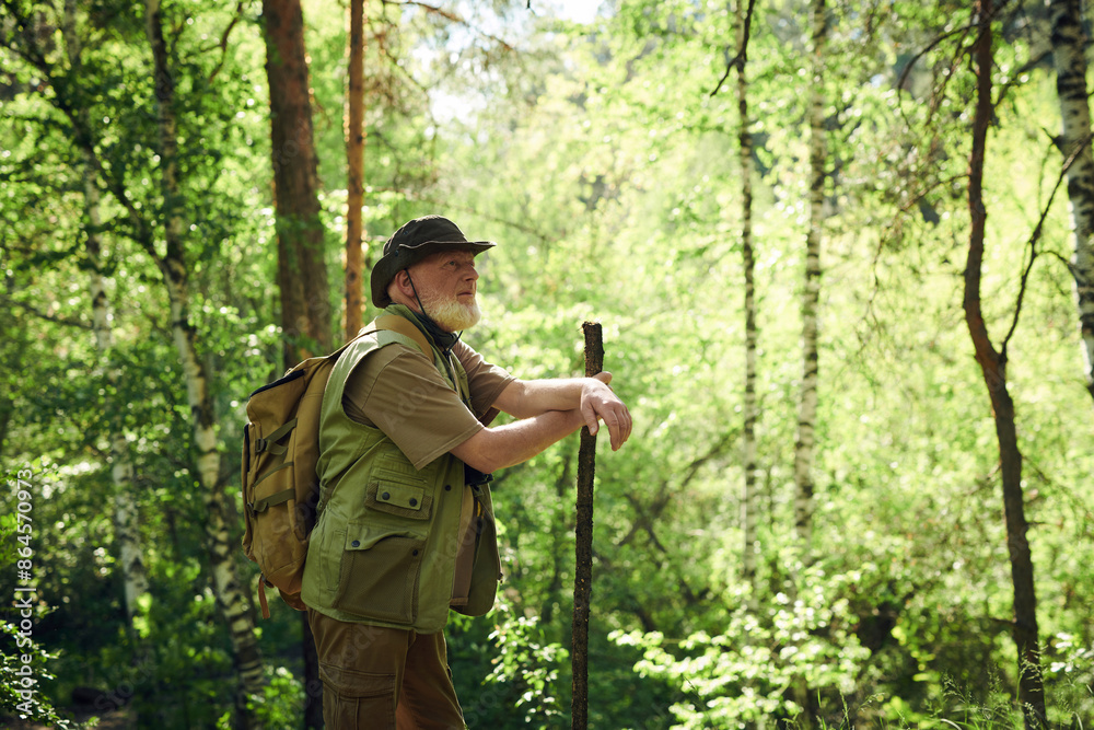 Naklejka premium Side view shot of mature male traveler standing relaxed with wooden stick enjoying spending summer day in forest