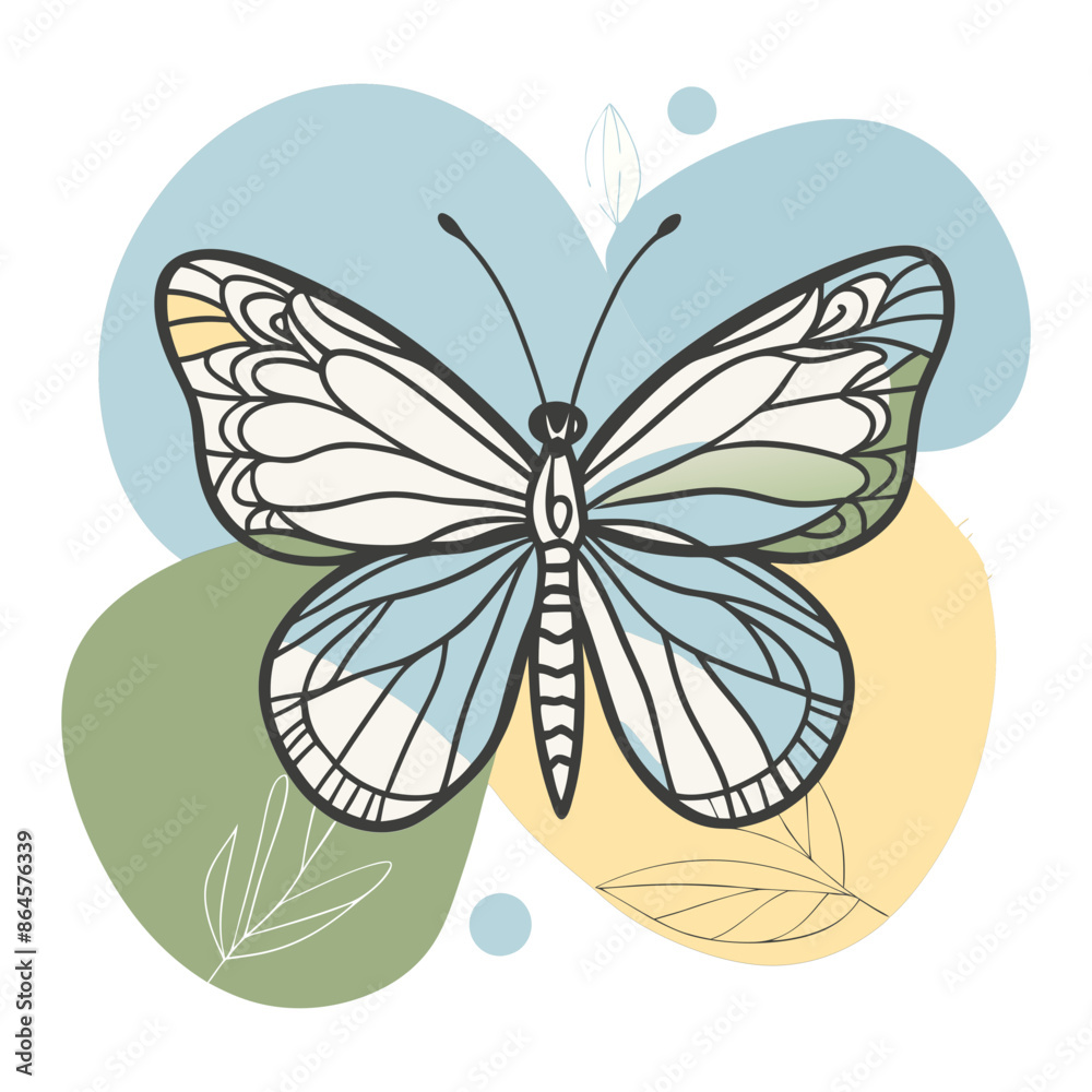 butterfly illustration