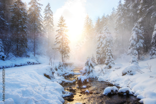 sunny day in a winter mountain forest