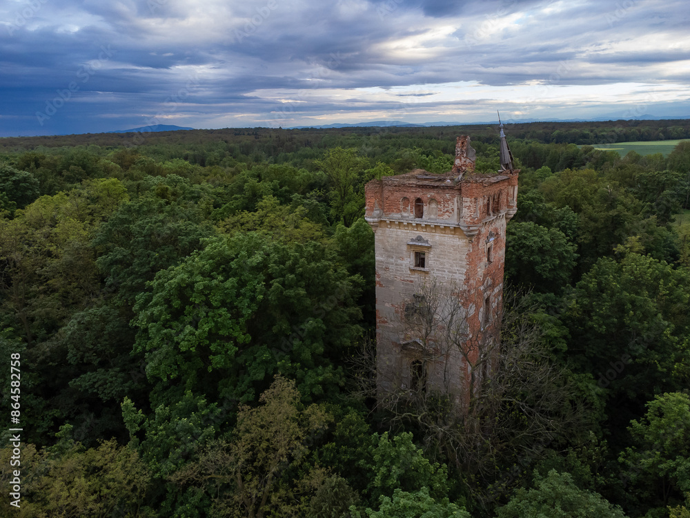 ruins of a tower in the forest