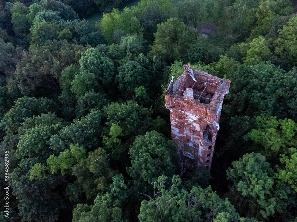 ruins of a tower in the forest