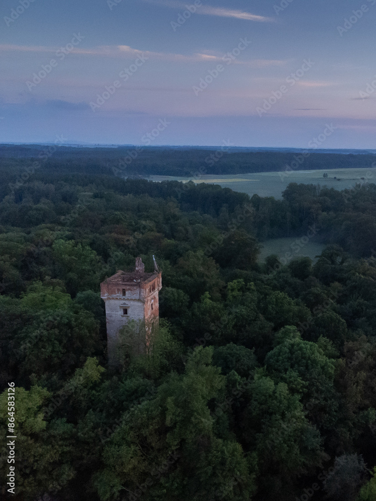 ruins of a tower in the forest