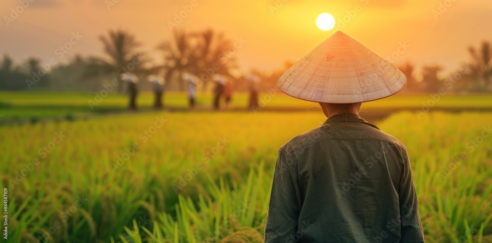 A Vietnamese male farmer in traditional attire, including a conical hat, standing in a rice field at sunset. A Vietnamese male farmer in traditional attire, including a conical hat, standing in a rice field at sunset.