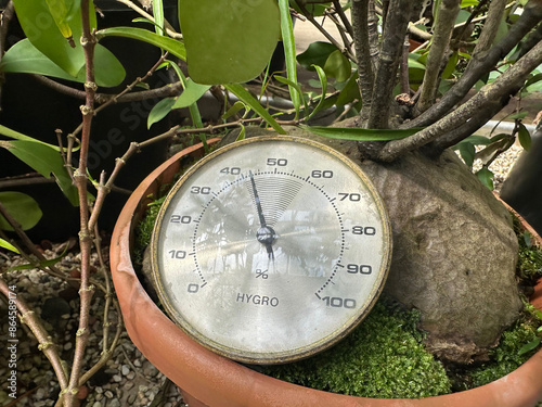 Mechanical hygrometer and potted plant in botanical garden photo