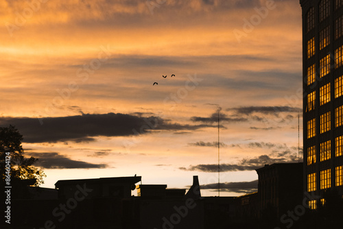 sunset over the city