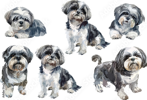 Cuadro en lienzo shih tzu watercolor clipart