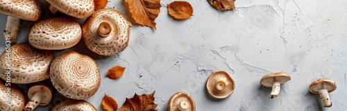 Fresh Brown Mushrooms on Grey Background