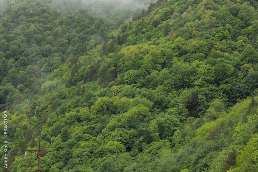 Mountains in the fog in summer Mountains in the fog in summer