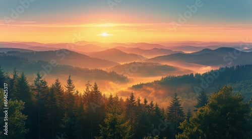 Sunrise Over Misty Mountains in the Black Forest © olegganko