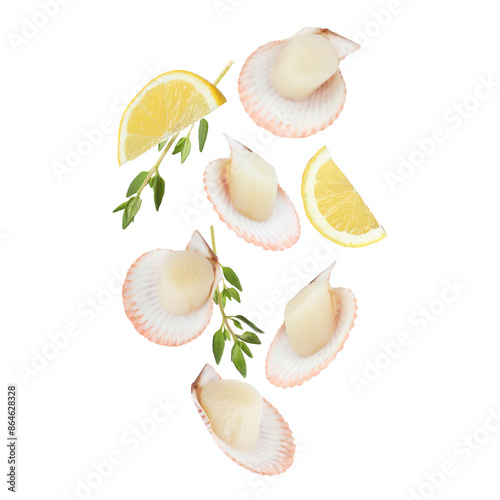 Scallops with shells, thyme and lemon falling on white background