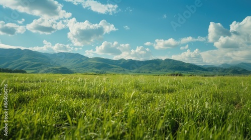 A serene scene of a green meadow with mountains in the background, perfect for nature or outdoor-themed projects