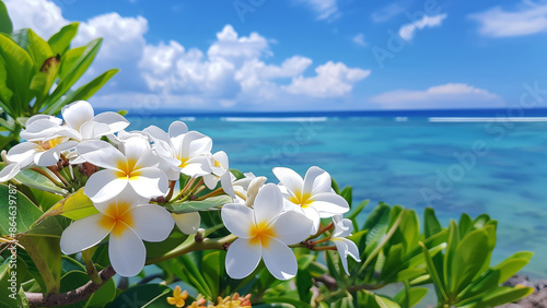 A blooming frangipani tree against the backdrop of a sandy beach and crystal clear turquoise ocean