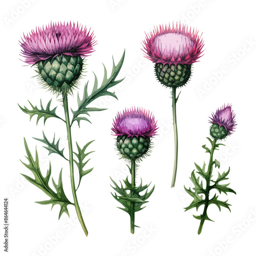 Four purple flowers with green stems. Vector icon