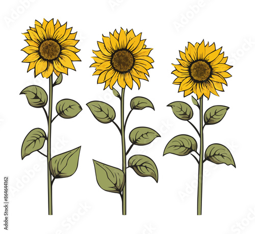 Three sunflowers are drawn in a row, with the middle one being the tallest. Vector icon