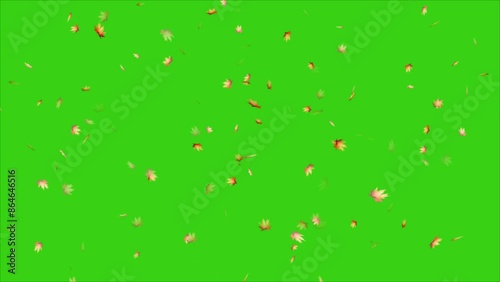 Leaves falling animation on green screen 4k. leaf falling.
realistic falling autumn leaves 4K animation video with a green screen background. 
Leaves falling on green screen background
