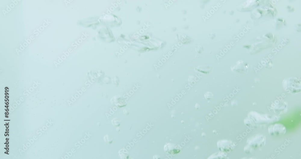 Sliced green Aloe vera leaves in water, anti-inflammatory and antioxidant properties, perfect for natural remedies, herbal extracts, organic healing Sliced green Aloe vera leaves in water, anti-inflammatory and antioxidant properties, perfect for natural remedies, herbal extracts, organic healing