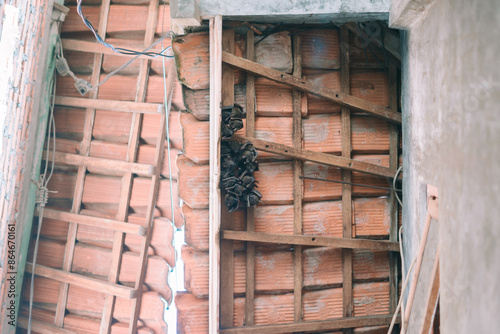 Bats hanging upside down from the roof of a house, illustrating nocturnal wildlife in urban settings