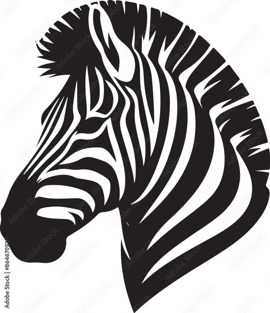 Zebra Silhouette vector illustration Zebra Silhouette vector illustration