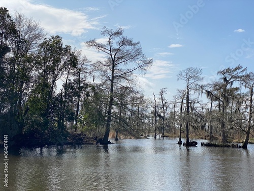 Canvas-taulu Photo of bayou, wetlands hardwood forest, swamp, and marsh habitats in Barataria Preserve within Jean Lafitte National Historical Park and Preserve, Jefferson Parish, Louisiana USA