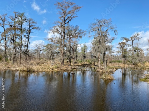 Photo of hardwood forest, swamp, and marsh habitats in Barataria Preserve within Jean Lafitte National Historical Park and Preserve, Jefferson Parish, Louisiana USA.