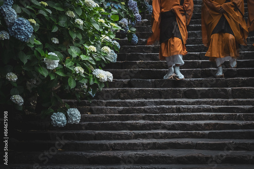 Принти на полотні 紫陽花と日本の僧侶 / Hydrangeas and Japanese Monks
