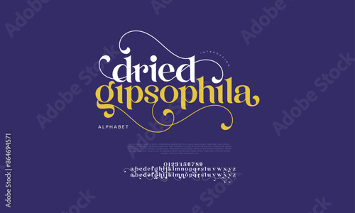 Dried premium luxury elegant alphabet letters and numbers. Vintage wedding typography classic serif font decorative vintage retro. creative vector illustration