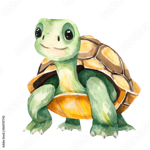 수채화 스타일 동물곤충어류