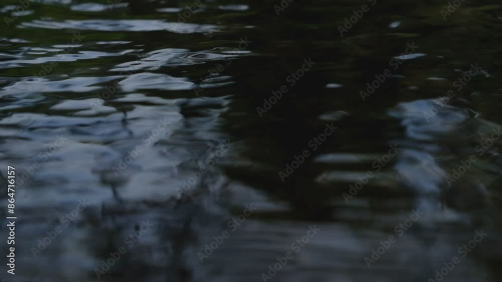 Close-up video of reflective water surface against a black background. Close-up video of reflective water surface against a black background.